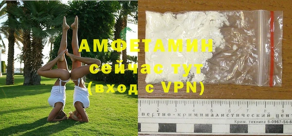 шишки Армянск