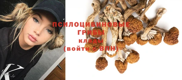 мяу мяу мука Арсеньев