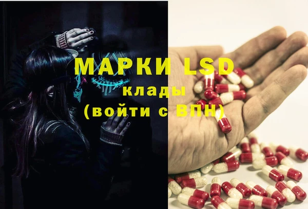 мяу мяу мука Арсеньев