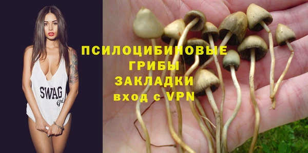 шишки Армянск