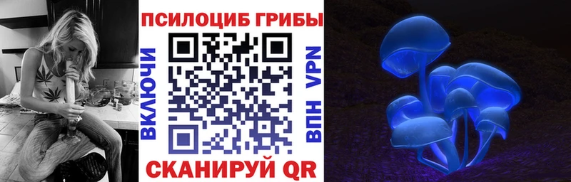 Псилоцибиновые грибы Psilocybe Куйбышев